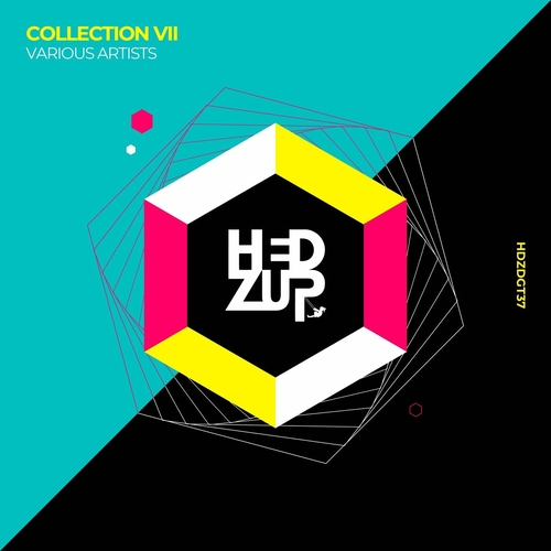 VA - Collection VII [HDZDGT37] AIFF